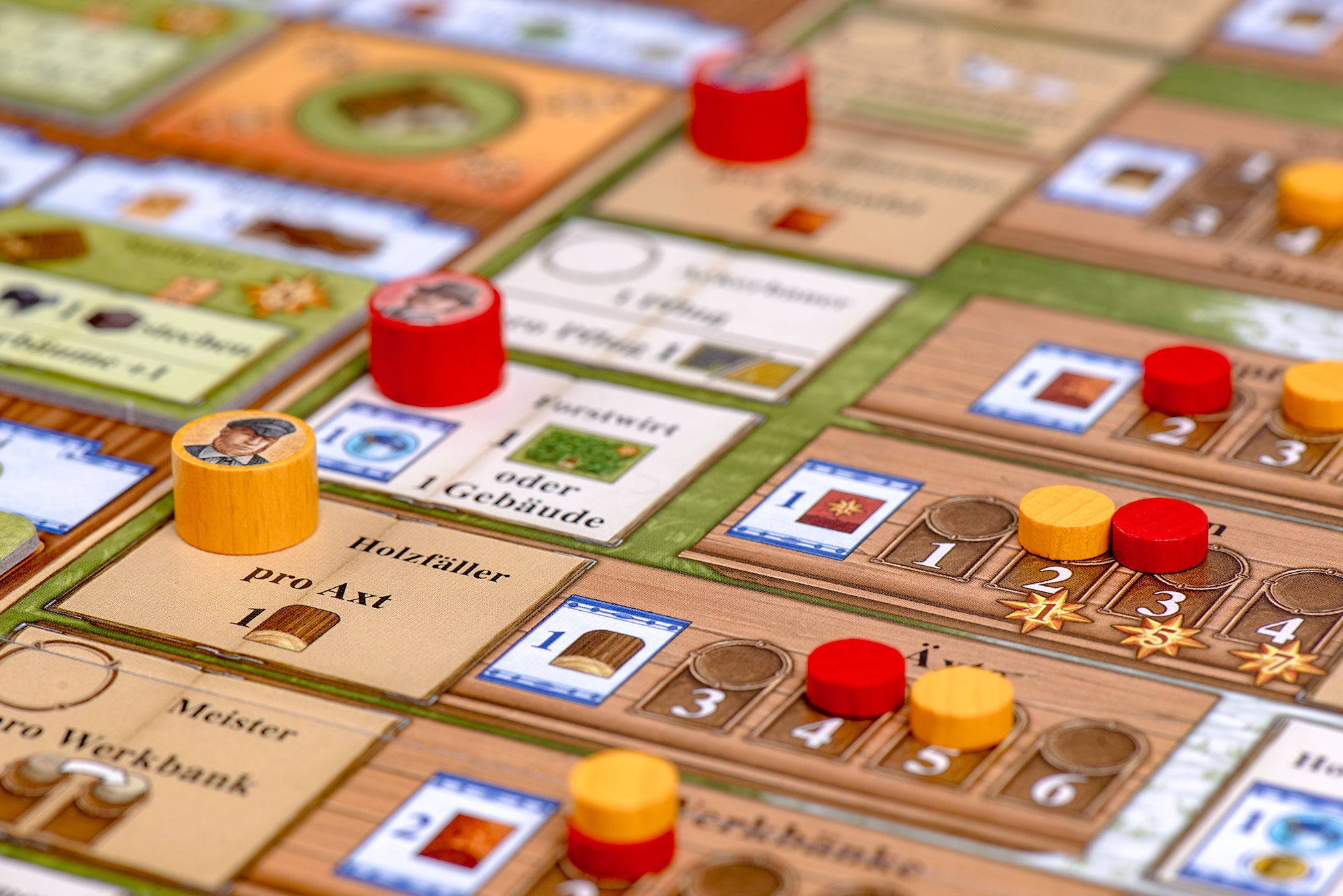 Fields of Arle