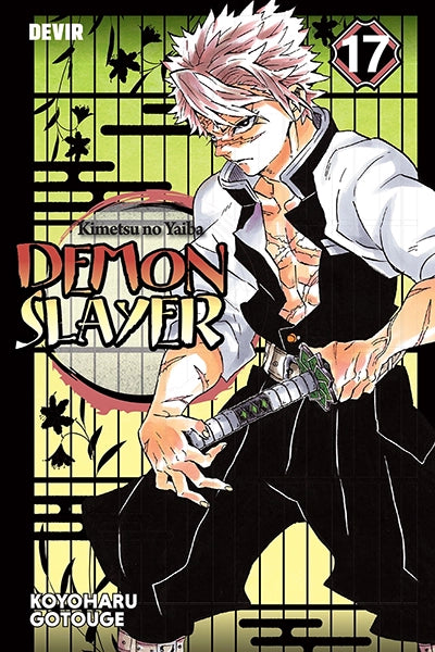 Demon Slayer, Vol. 17