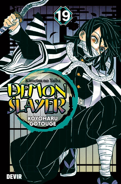 Demon Slayer, Vol. 19