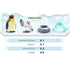Zoollywood Miniature Pack