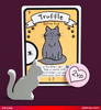 Cat Lady