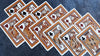 Bicycle Aurora (Foil Version) Playing Cards