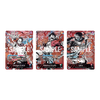 One Piece Card Game - 3rd English Anniversary Set