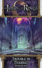 Box cover for The Lord of the Rings: The Card Game - Trouble in Tharbad