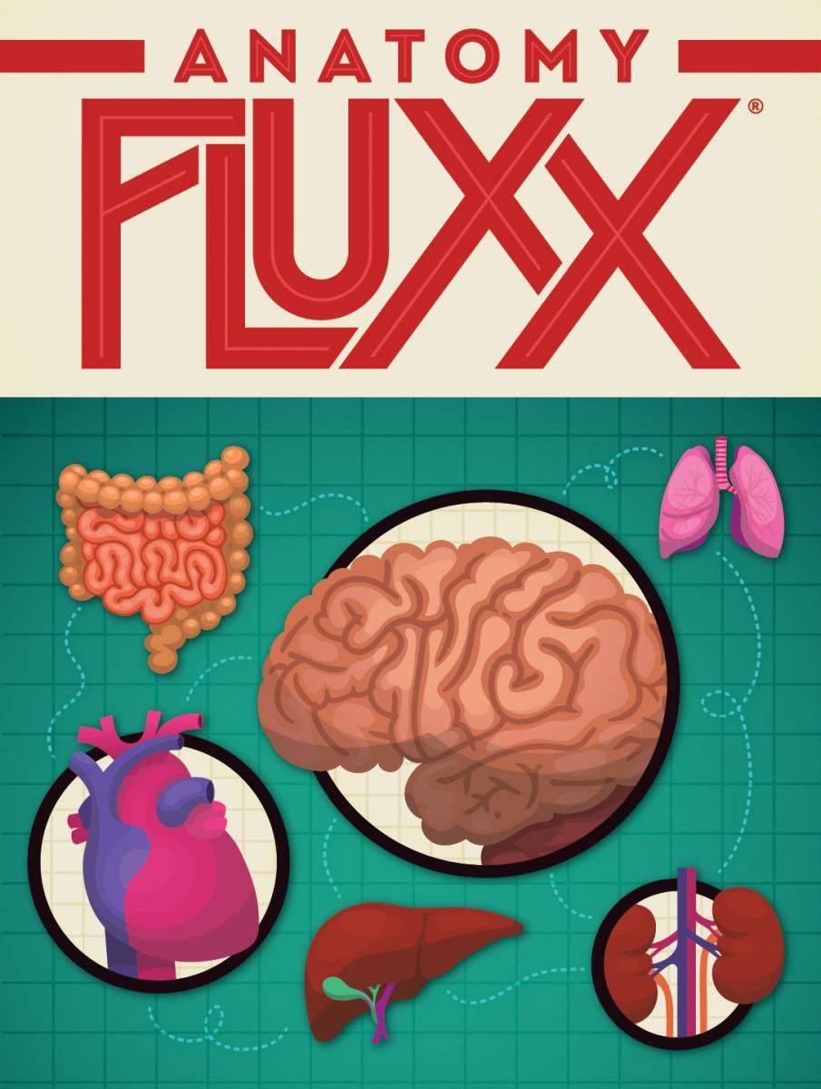 Box cover for Anatomy Fluxx