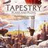 Box cover for Tapestry: Plans & Ploys