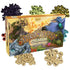 Spirit Island: Premium Token Pack
