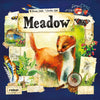 Box cover for Meadow