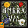 Box cover for Umbra Via