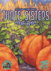 Box cover for Three Sisters