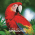 Box cover for Life of the Amazonia