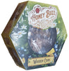Box cover for Honey Buzz: Wooden Coins