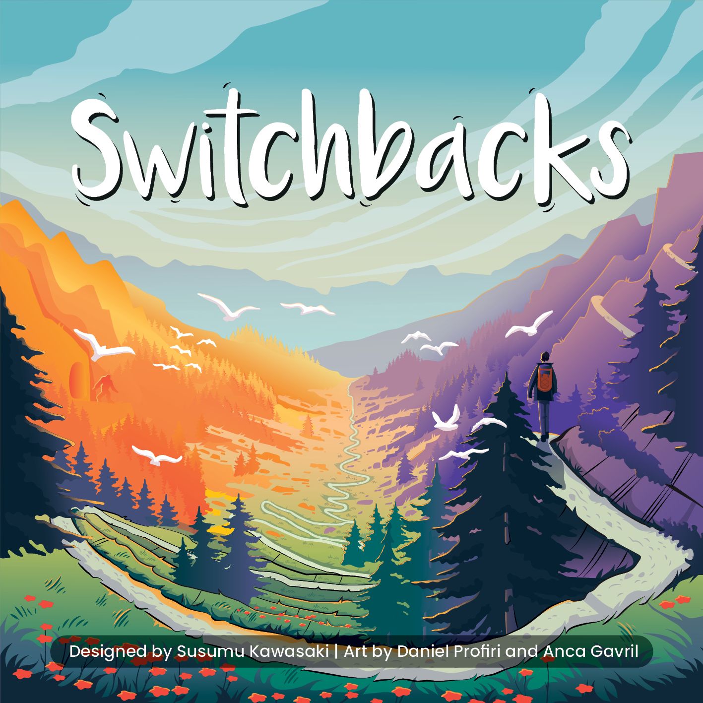 Box cover for Switchbacks
