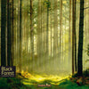 Box cover for Black Forest