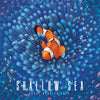 Box cover for Shallow Sea