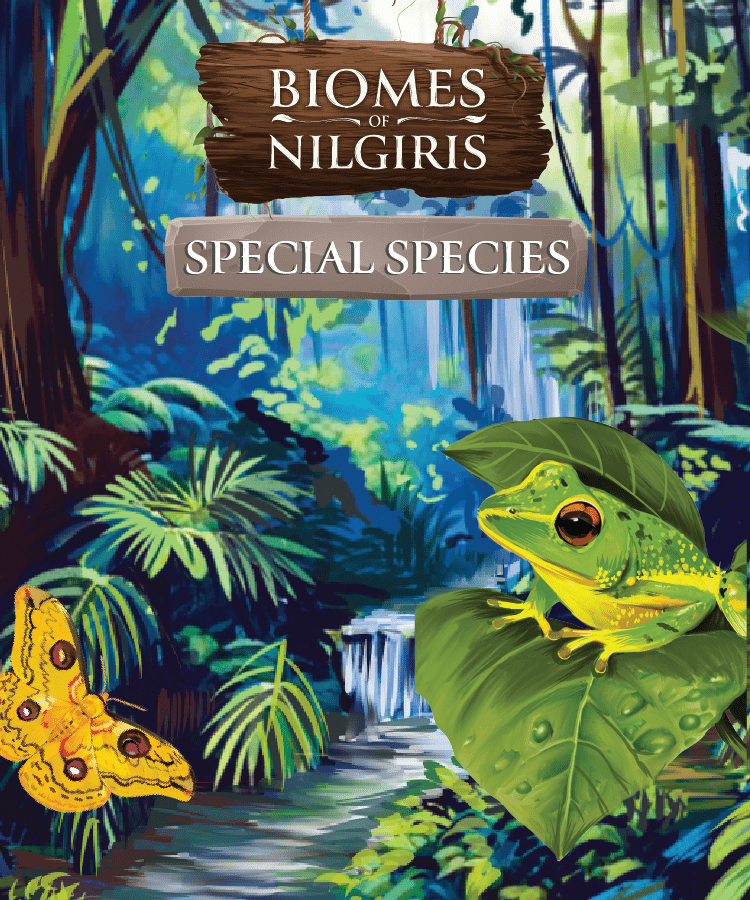 Box cover for Biomes of Nilgiris: Special Species Expansion
