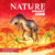 Box cover for Nature: Jurassic