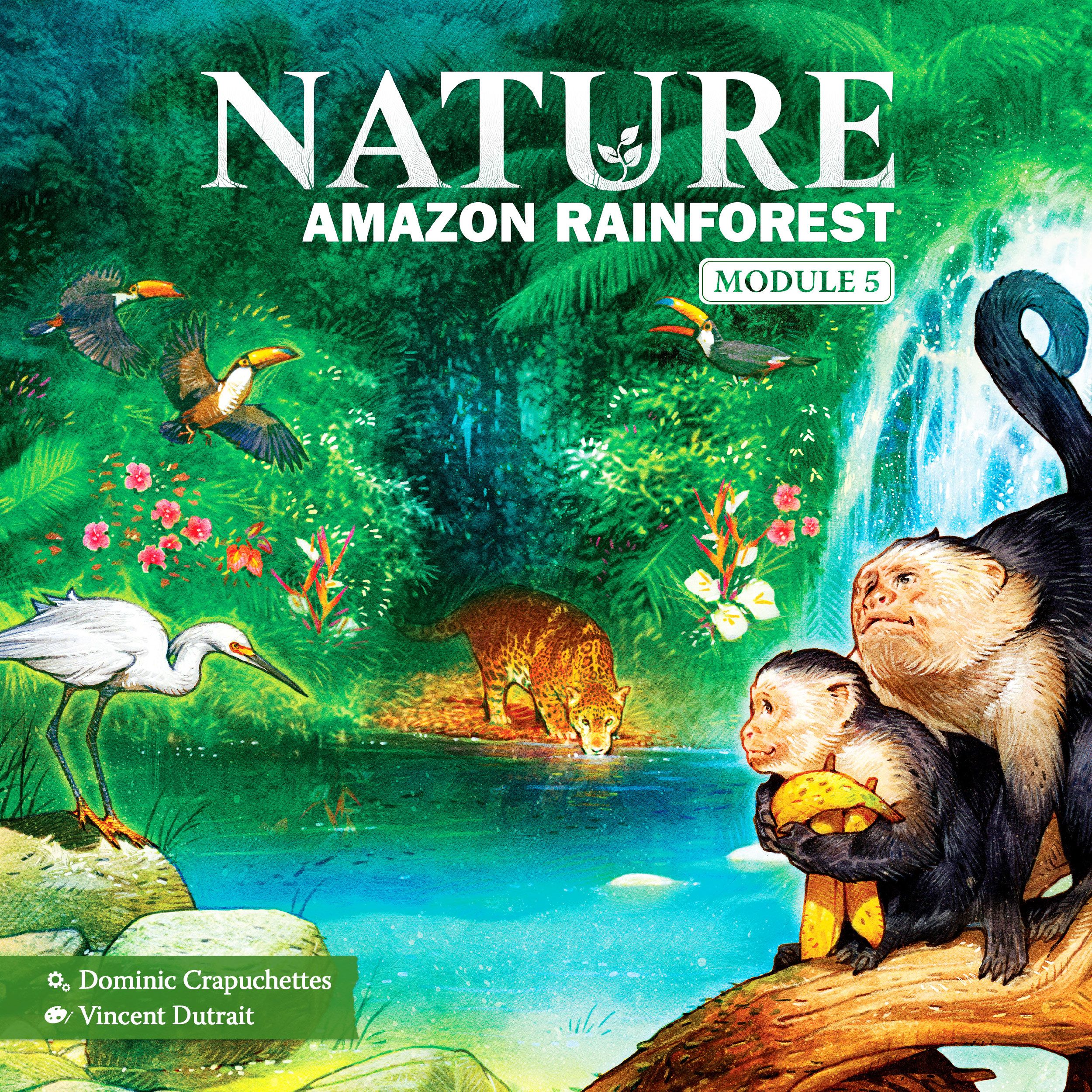 Box cover for Nature: Amazon Rainforest