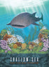 Box cover for Shallow Sea: Rare Fish Mini-Expansion